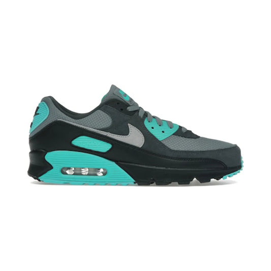 Air Max 90 Black Dusty Cactus