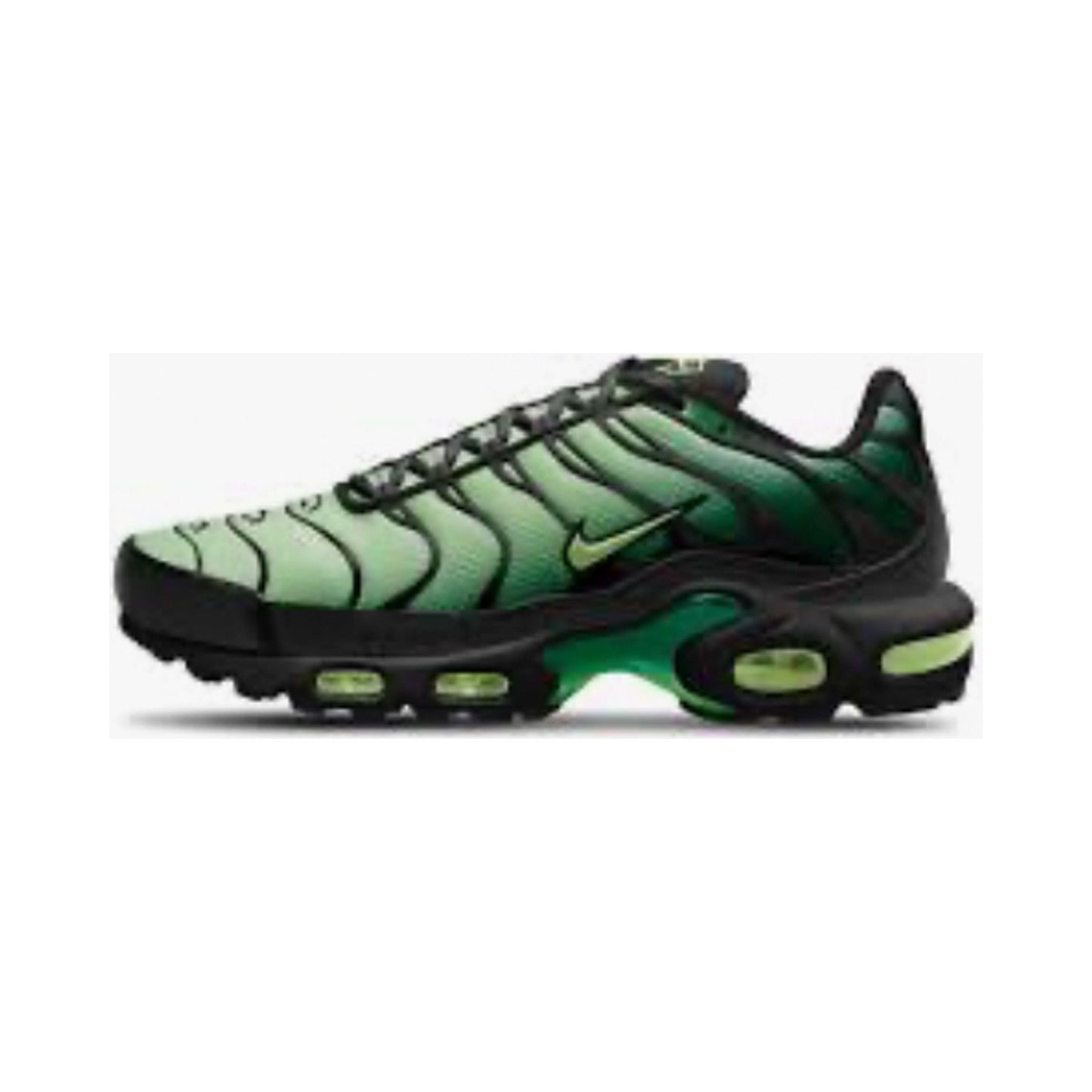 Nike Air Max Plus – Pine Green